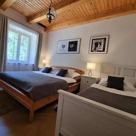 Osika Gasthof Nová Bystřice