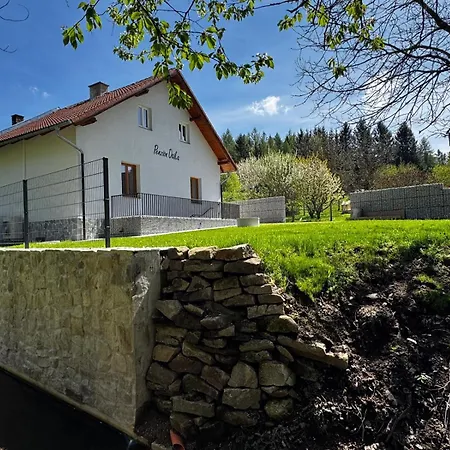 Osika Nová Bystřice