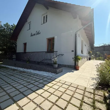 Pensjonat Osika Nová Bystřice
