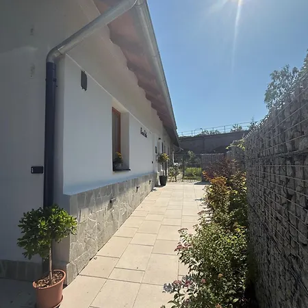 Osika * Nová Bystřice