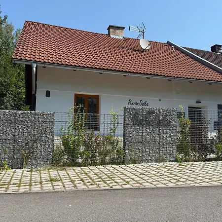 Osika *
