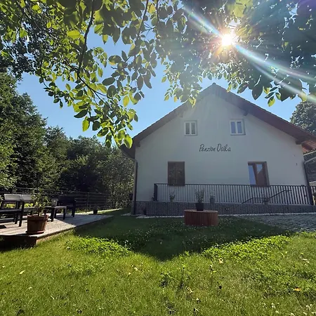 Osika Pensjonat *