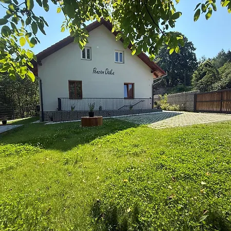 Osika