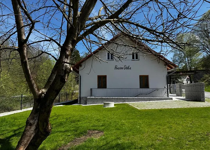 Osika Pensjonat Nová Bystřice