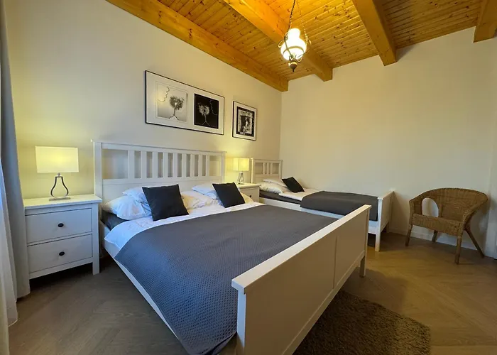 Osika Nová Bystřice